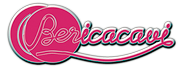 Berica Cavi spa